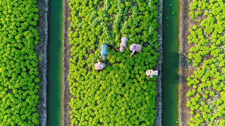 sustainability-1280x720
