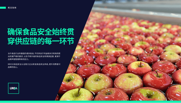 BRCGS食品安全标准概述指南